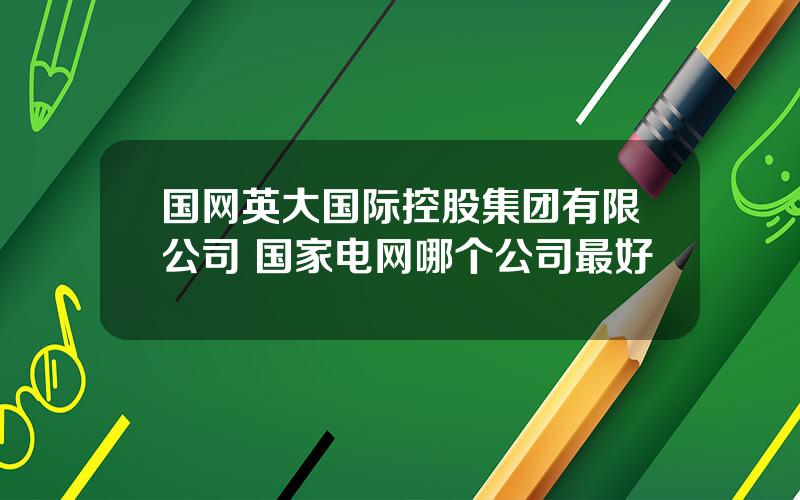 国网英大国际控股集团有限公司 国家电网哪个公司最好